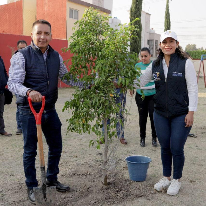 Llevan Jornada de Reforestación a la colonia Emiliano Zapata en San Andrés