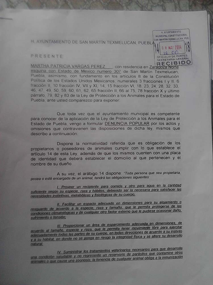 Niega Salud de Texmelucan acoso y abuso contra protectores de animales