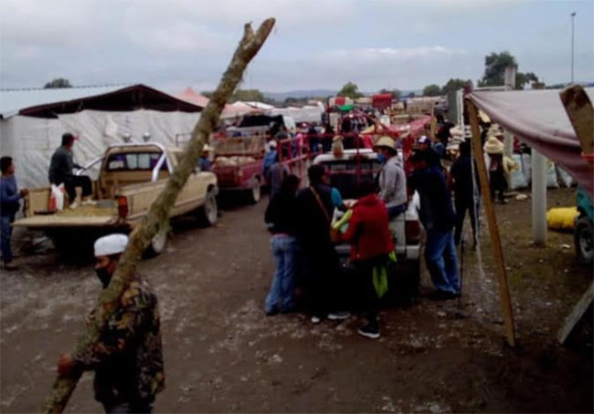 Suspenden plaza de animales y alimentos en Tlacotepec de Benito Juárez