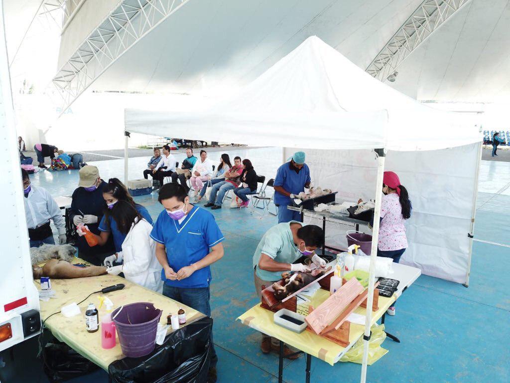 Vecinos de Bosques participan en Jornada de Protección Animal