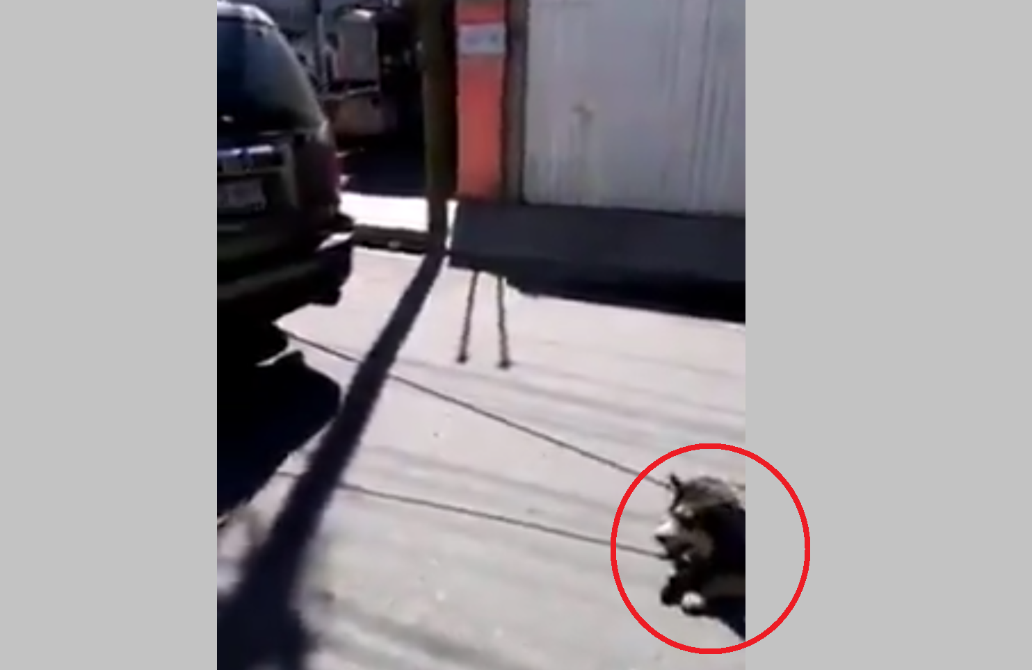 VIDEO Mujer arrastra a su perro con la camioneta en Tehuacán