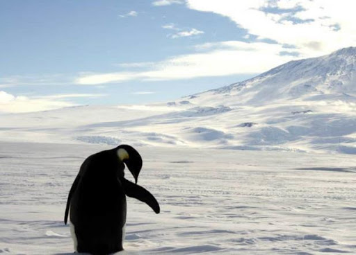 Antártida registra temperaturas de más de 20 grados