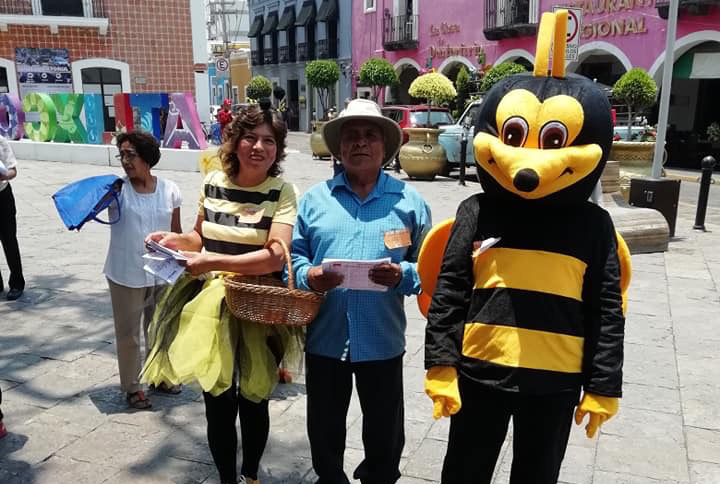 Apicultores de Atlixco buscan evitar extinción de abejas