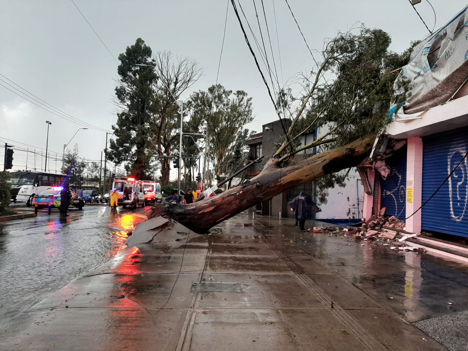 Ráfagas de viento provocan apagones y caída de árboles en Tehuacán