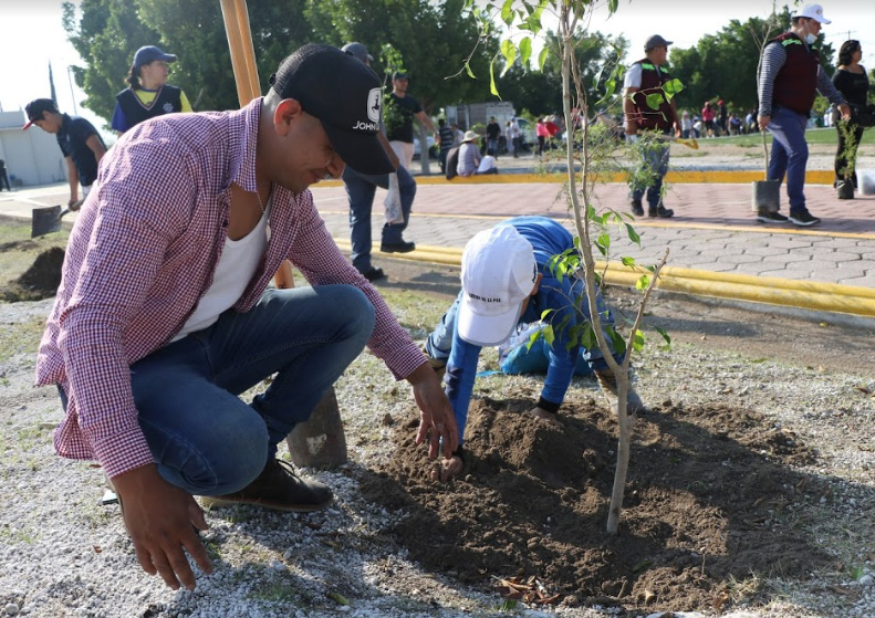 Evitarán tala de árboles  por obras públicas en Tehuacán