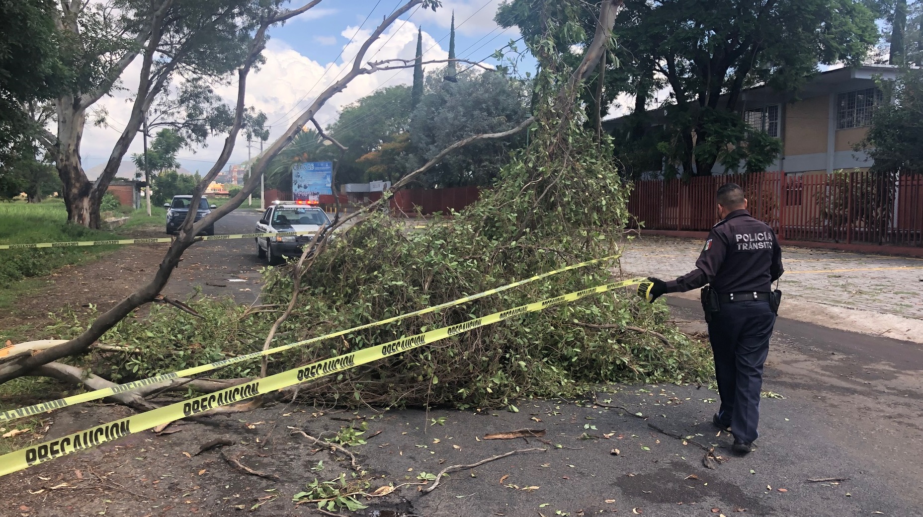 Caída de árboles por lluvias dañan casas y caminos en Atlixco