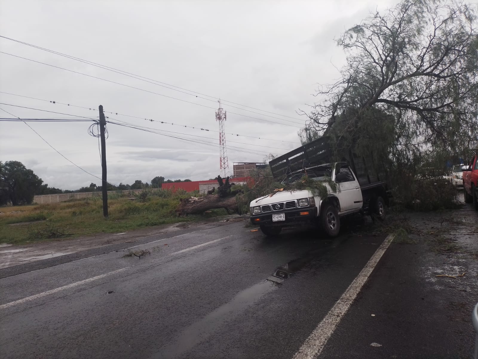 Lluvias generan caída de árbol en la federal Puebla-Tehuacán