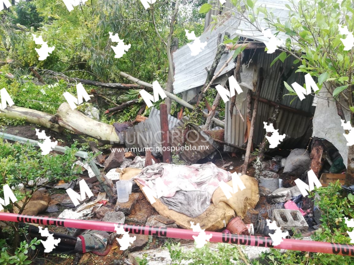 Le cae árbol en Tenango de Las Flores y pierde la vida