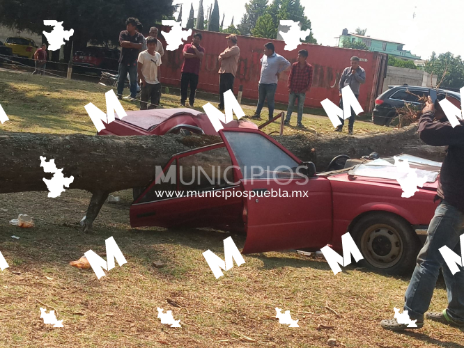 Cae árbol sobre auto de joven mujer y su bebé en Ahuazotepec