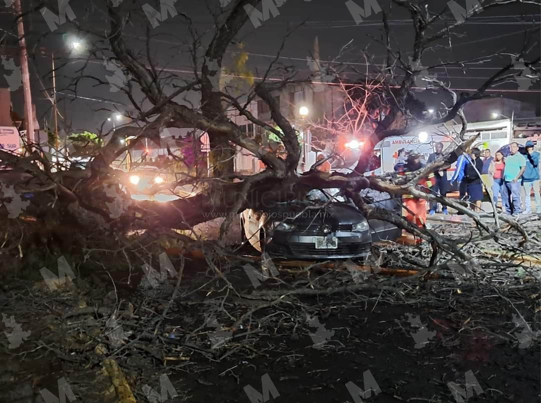Fuertes vientos derriban árbol sobre un auto con dos personas en Tehuacán