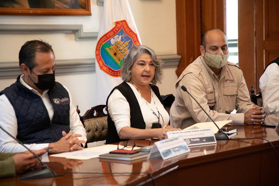 Ayuntamiento de Puebla y Africam reciclarán árboles de navidad