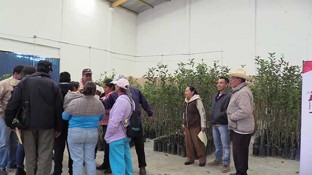 Edil Huejotzingo entrega árboles frutales a productores de la región