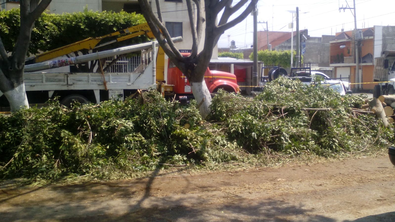 Tromba causa inundaciones, caída de árboles y apagones en Tehuacán