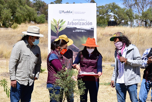 Ayuntamiento de Puebla da banderazo a Jornadas de Arborización 2021 