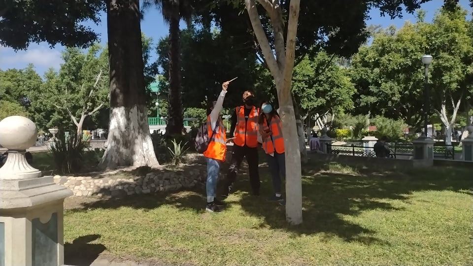 Investigadores de la UNAM estudian áreas verdes en Tehuacán 