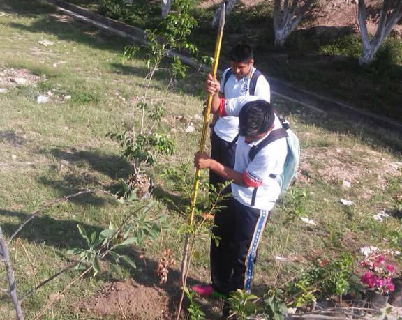 Tehuacán evitará que donación de árboles tenga tintes políticos