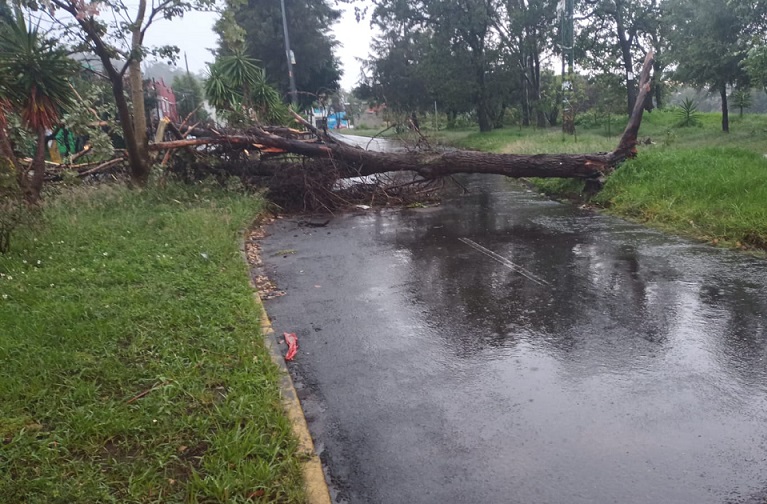 Deja lluvia colonias inundadas, autos atrapados y árboles caídos en Puebla