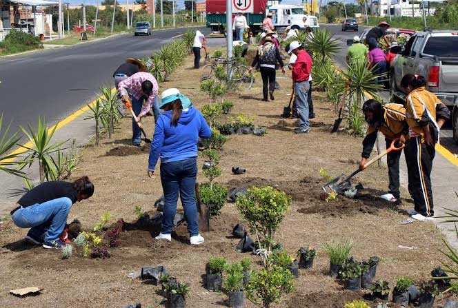 Dan mantenimiento a áreas verdes de Huejotzingo