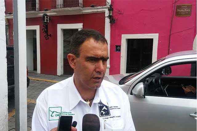 Puebla presenta avance del 69% en aretado de ganado a nivel nacional