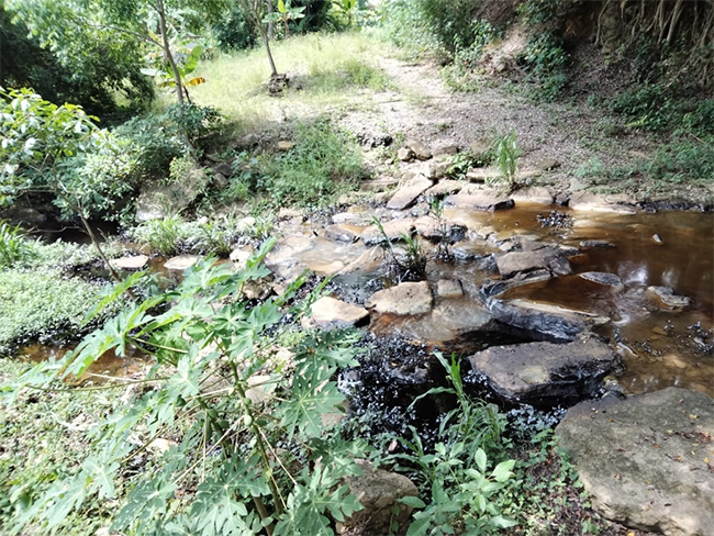 Fuga de hidrocarburo afecta 2.5 kilómetros de un arroyo en Venustiano Carranza