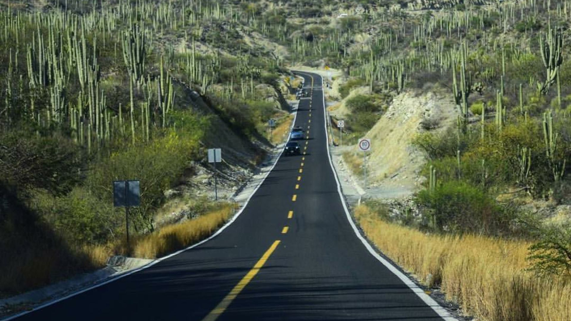 Tras un agresivo asalto, criminales robaron camioneta en la carretera Puebla-Tehuacán