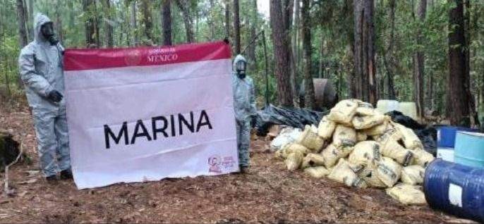 Gabinete de Seguridad aseguran laboratorios clandestinos en Michoacán
