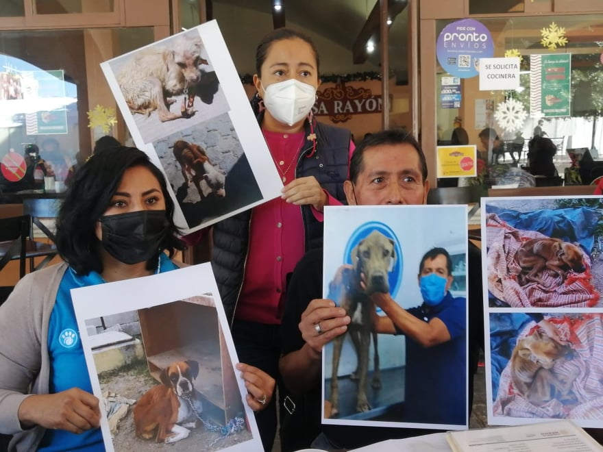 Denunciarán a la Asociación Protectora de Animales de Tehuacán TAC por daño moral 