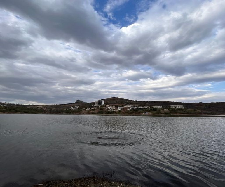 Avistamiento de un Monstruo en la Presa Madín