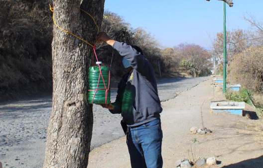 Atlixquenses arrancan iniciativa para ayudar a fauna y flora del cerro de San Miguel