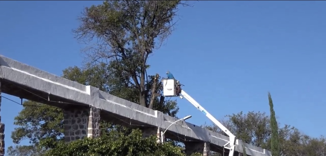 Protección Civil retiró ramas peligrosas sobre acueducto