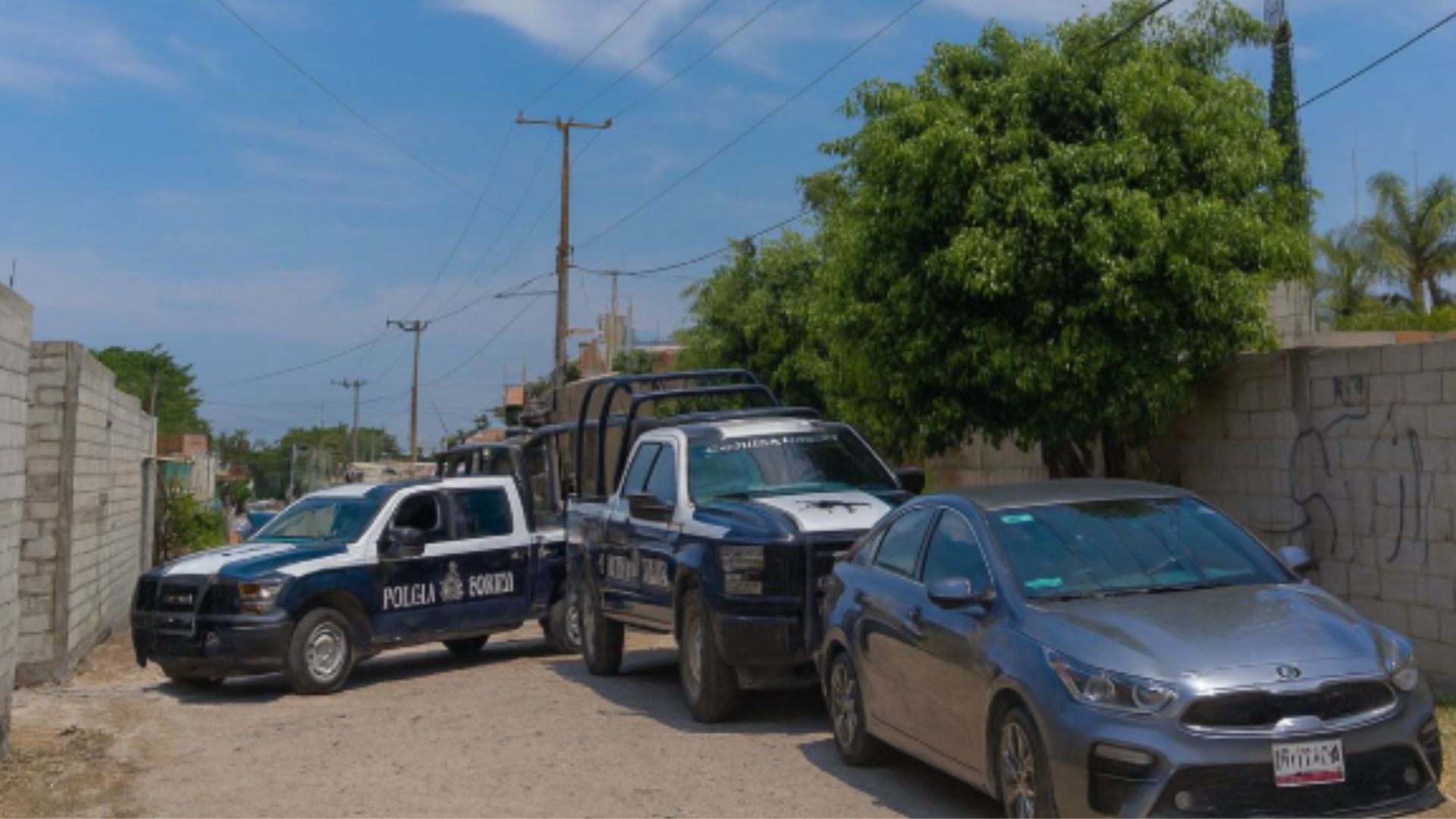 En Atlixco, hallan bodega con vehículos robados; detienen a 6 responsables   