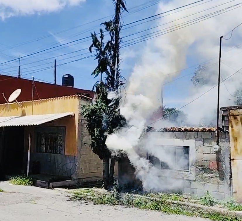 Incendio de pino en colonia de Atlixco deja a cientos sin energía eléctrica