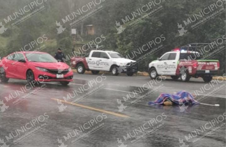 Muere atropellado masculino en la Teziutlán-Virreyes