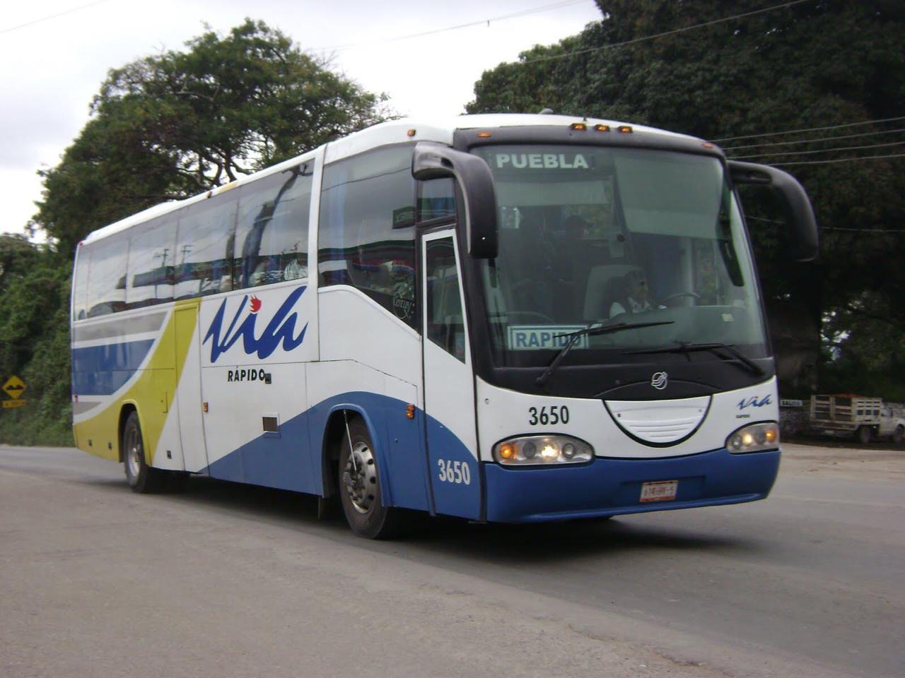 Asaltan autobús de Vía en la carretera federal Amozoc-Nautla