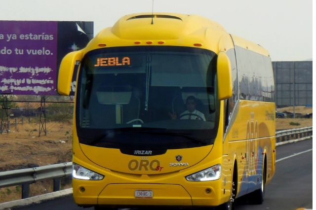 Asalto violento en autobús de la línea ORO desata indignación entre pasajeros