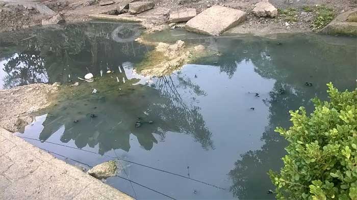 Sin avances pavimentación de calle Corregidora en Tlaola