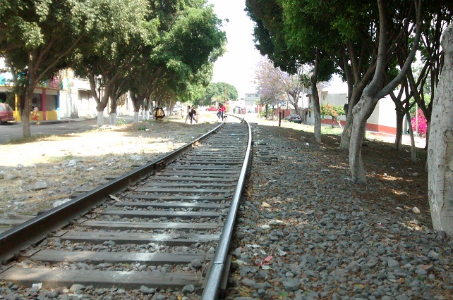 Exigen avicultores detenciones y operativos contra robo de trenes
