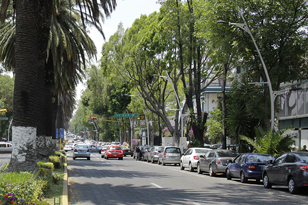 En 90 días concluirán los trabajos de mejoramiento de la Avenida Juárez