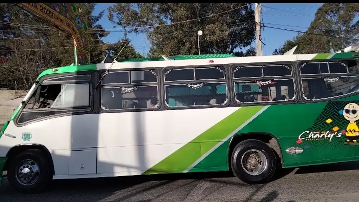 Ruta S-5 Azumiatla opera con 16 unidades piratas, revela SMT