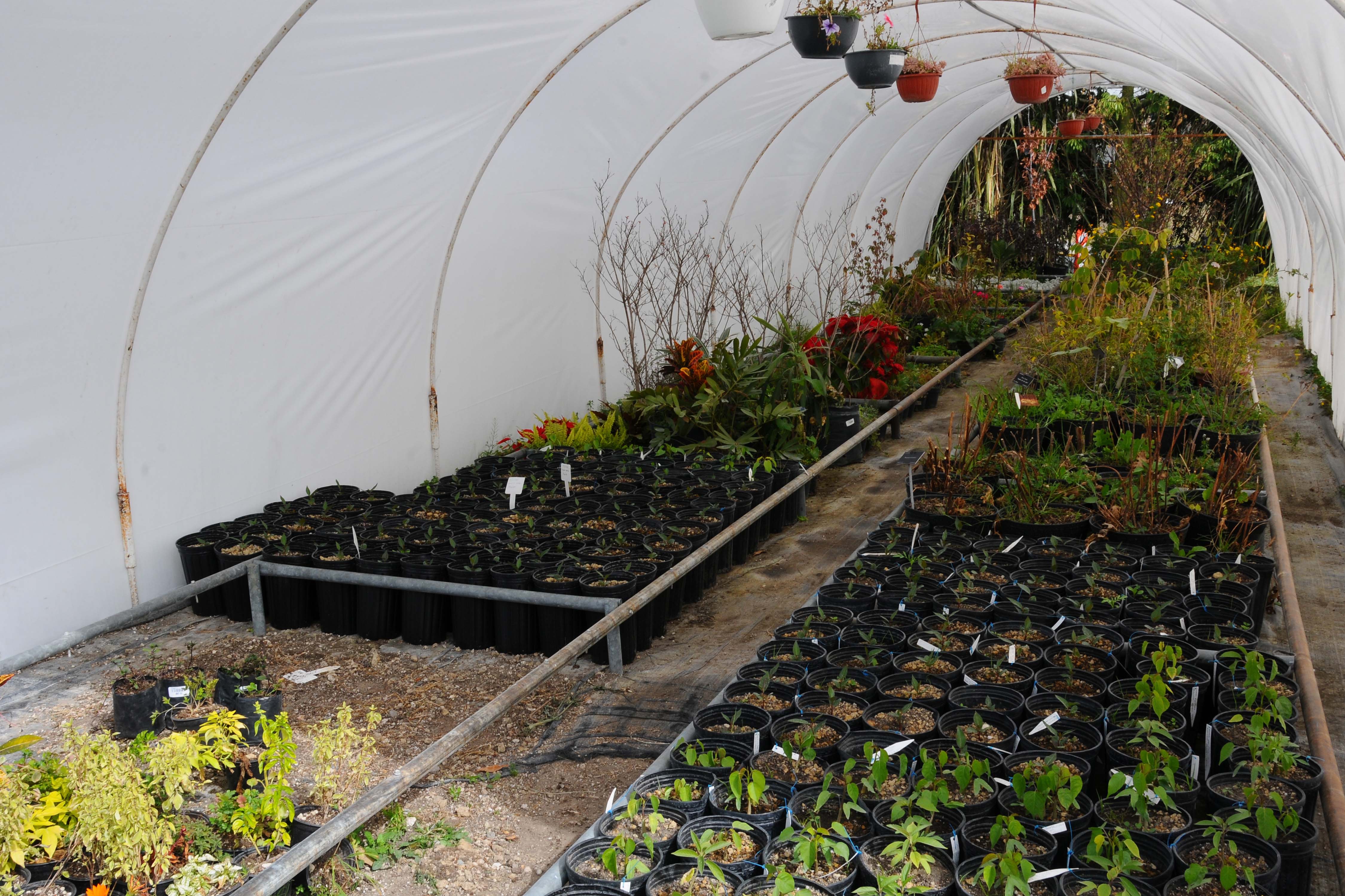 Herbario y Jardín Botánico BUAP, detonadores de la ciencia