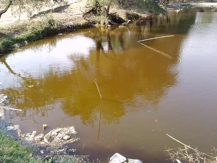 Mata Bacardí a seis mil peces de la presa de Puctla, acusan productores