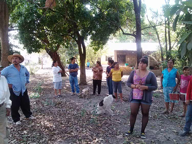 Mata Bacardí a seis mil peces de la presa de Puctla, acusan productores