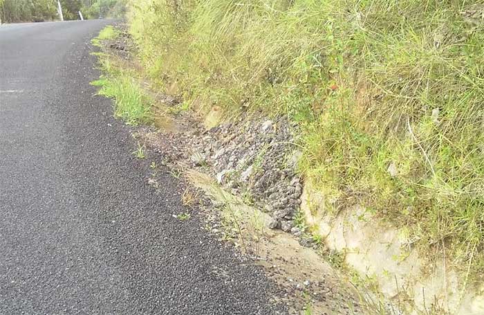 Brotan baches en carretera de Zacapoaxtla recién rehabilitada