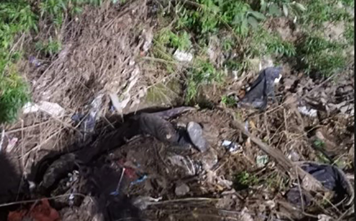Mujer sube a la azotea de su casa en Teziutlán y encuentra a la muerte