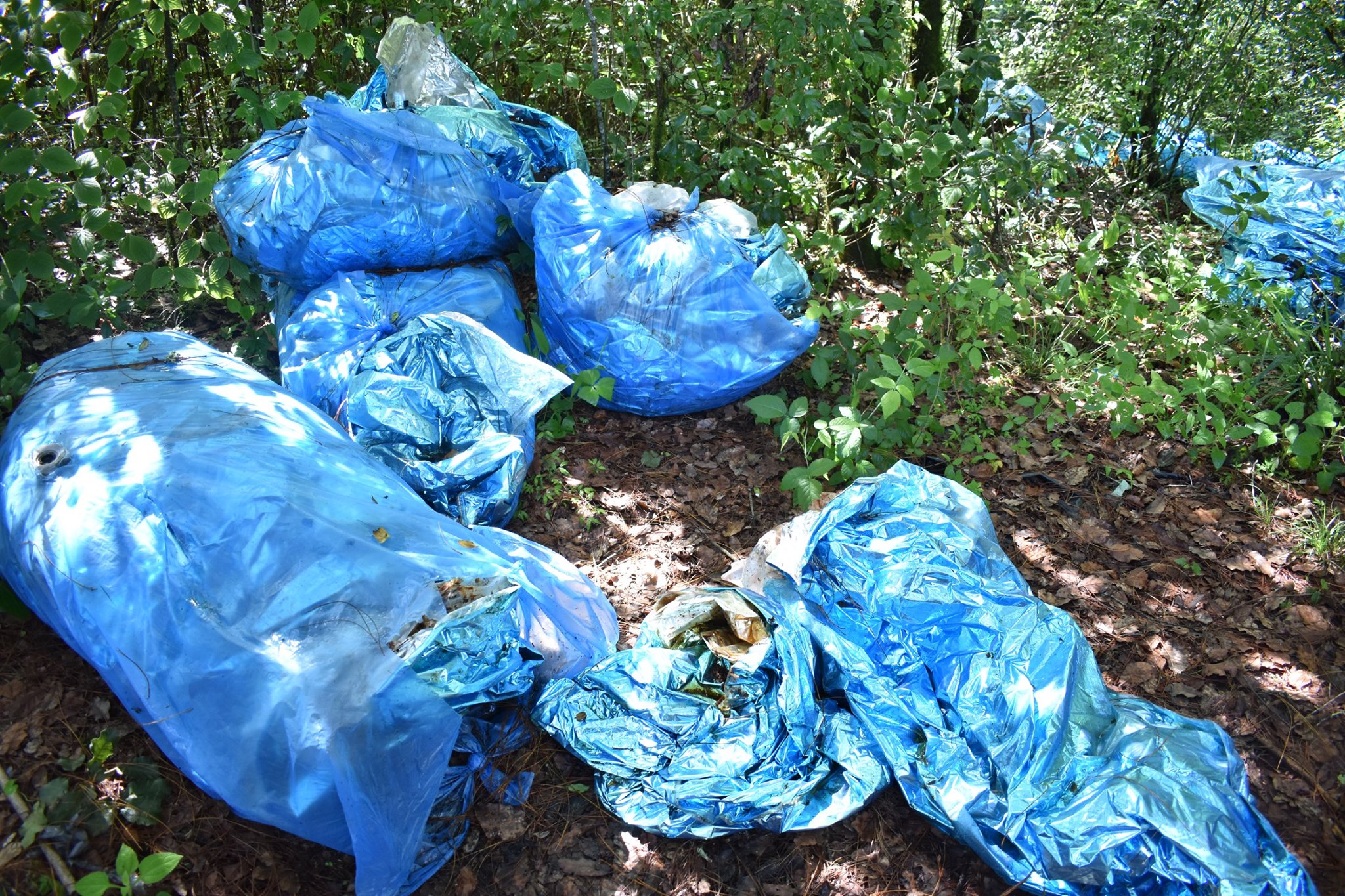 Alarman 26 bolsas con más de 200 kilos de comida caduca