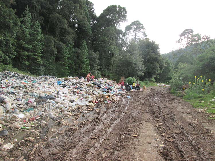 Profepa hace mutis ante basurero clandestino en bosque de Ahuazotepec