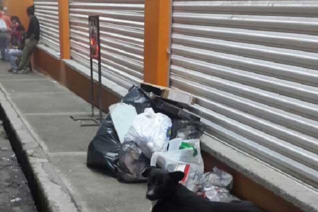 Retiro de contenedores ocasiona montoneras de basura en Teziutlán