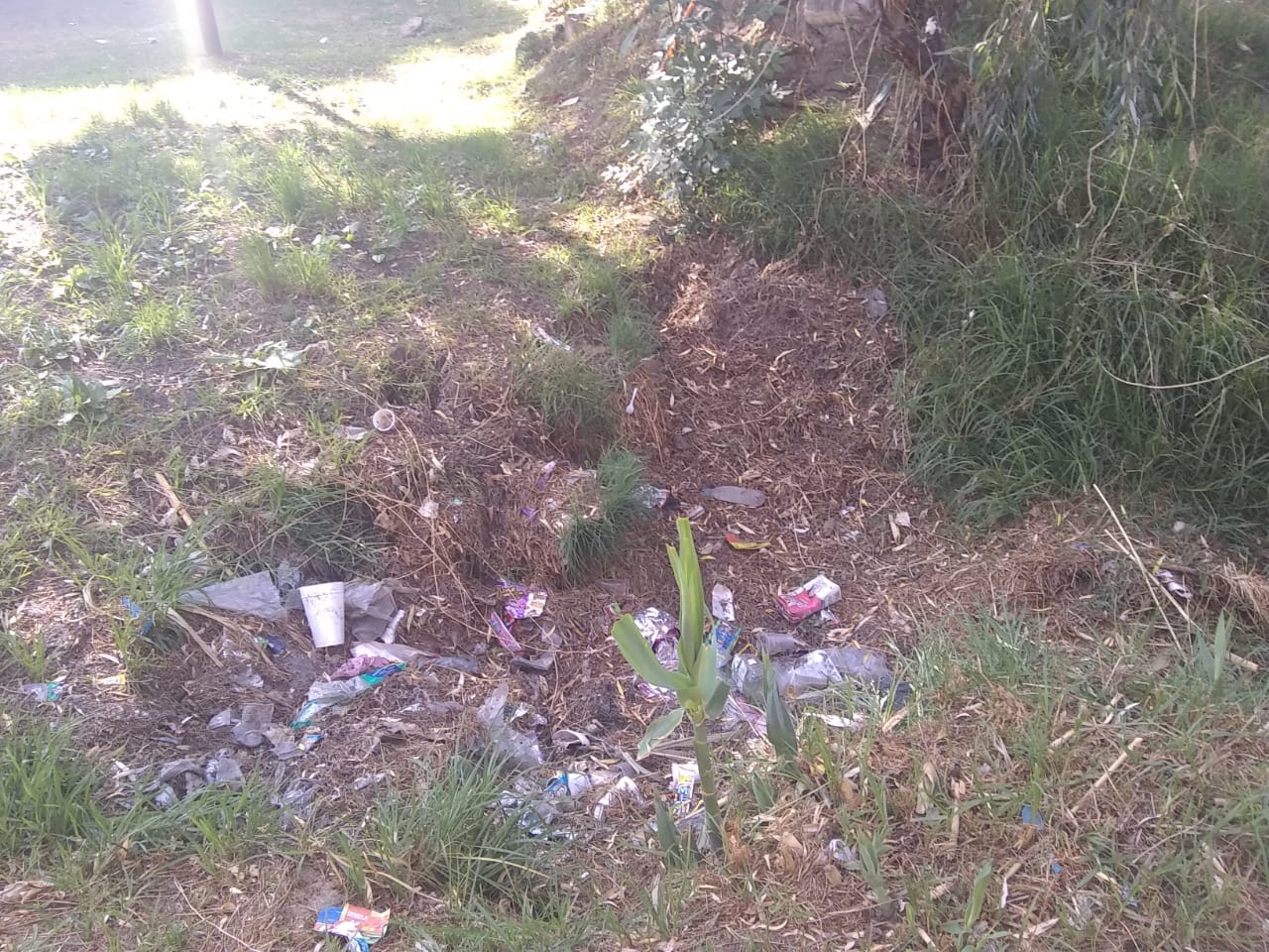 Vecinos de Texmelucan limpian áreas verdes sin apoyo del municipio