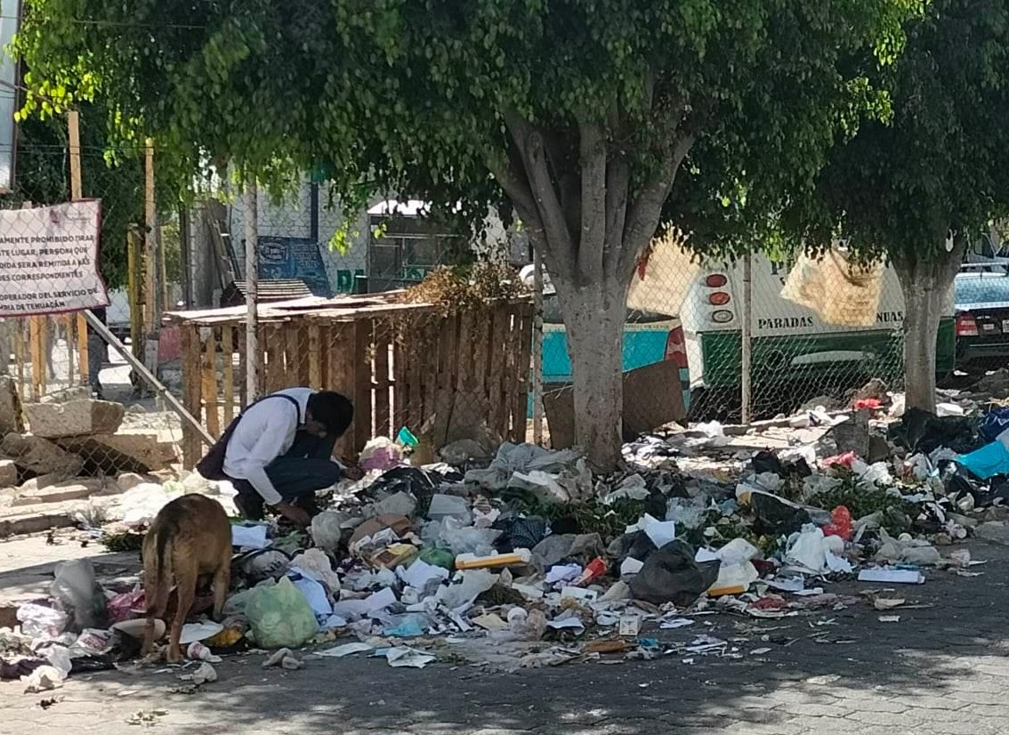 Concesión de disposición final de basura en Tehuacán debe amalizarse: Sánchez Sasia