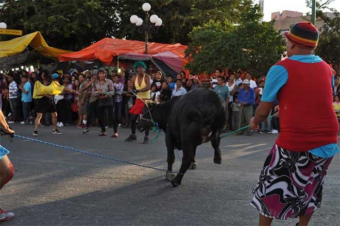 Becerrada abre la tradicional fiesta de San Rafael